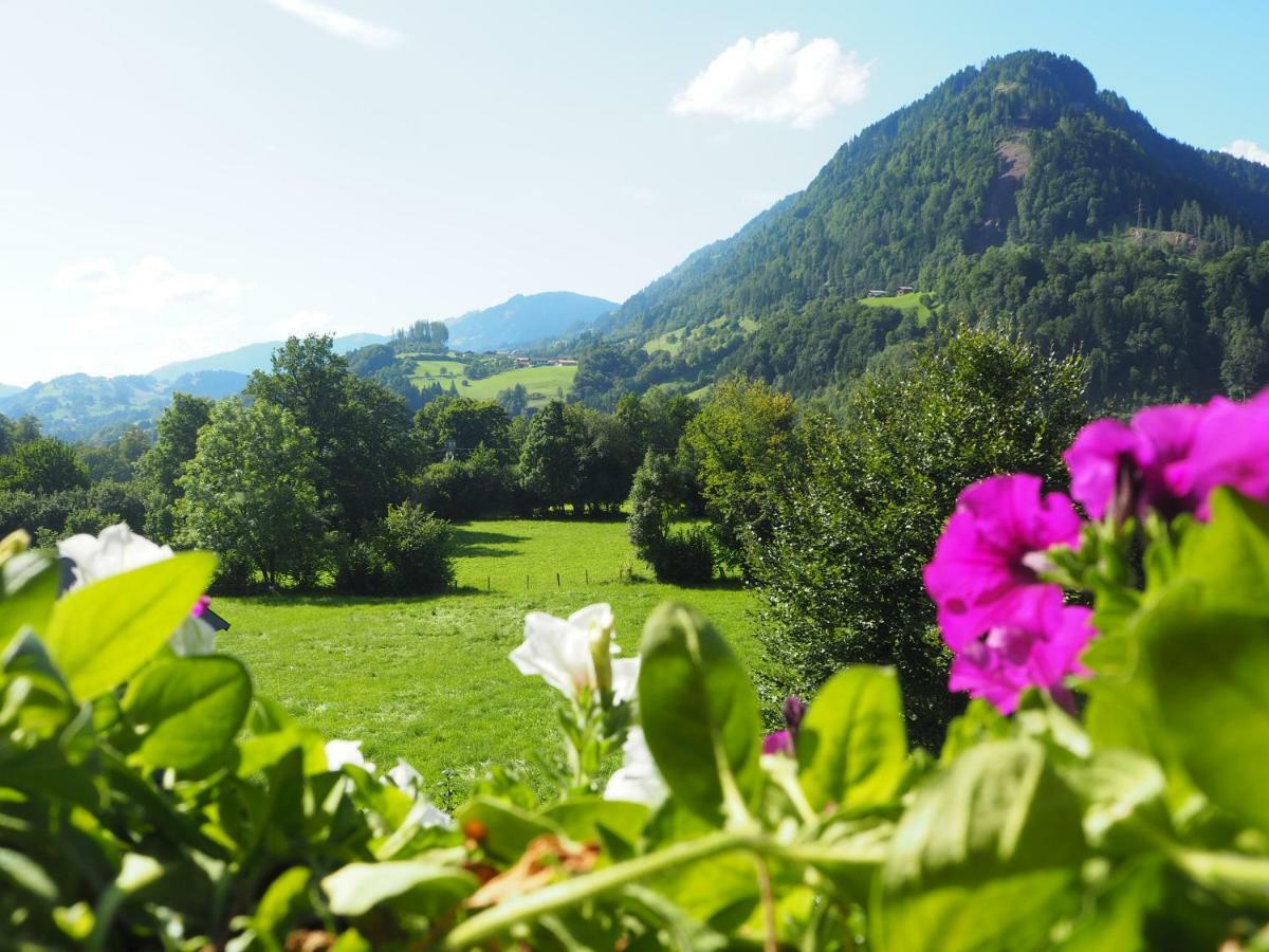 Rohrmoser Appartements Sankt Johann im Pongau Dış mekan fotoğraf